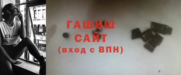 гашик Алексин