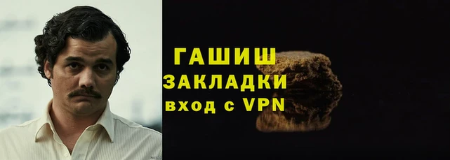 гашик Алексин