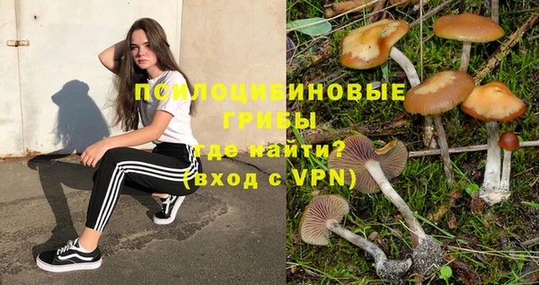 соль ск Абинск